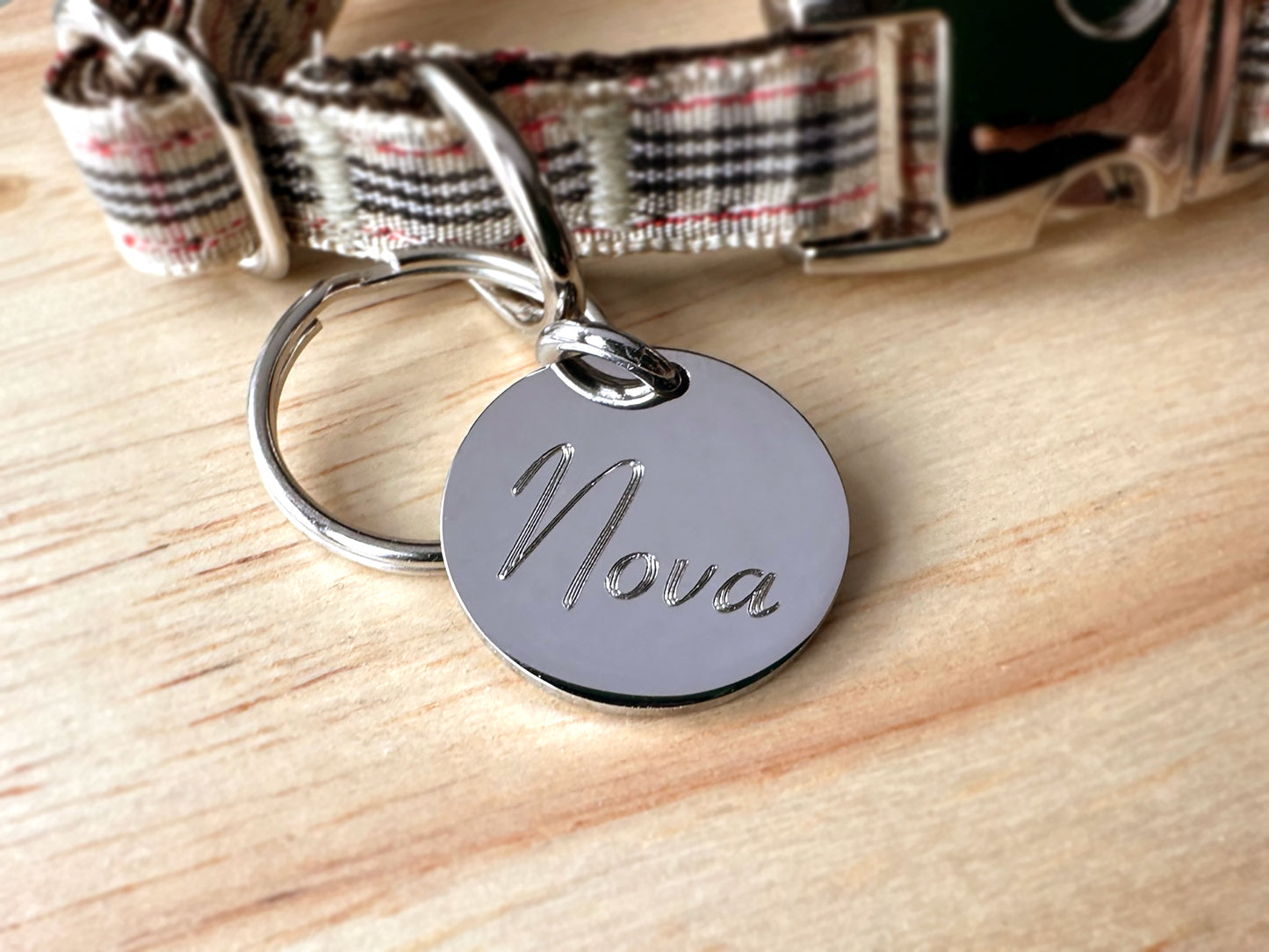 Small Silver Stainless Steel Round Pet ID