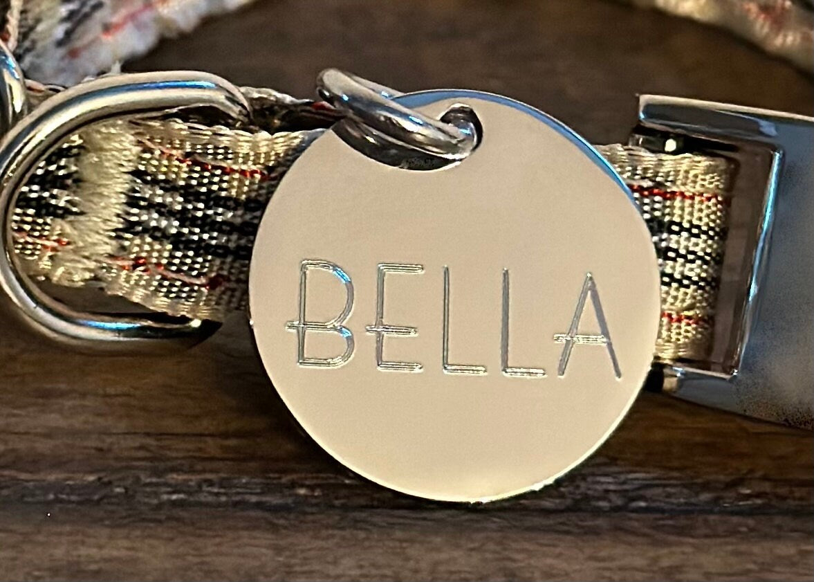 Small Silver Stainless Steel Round Pet ID