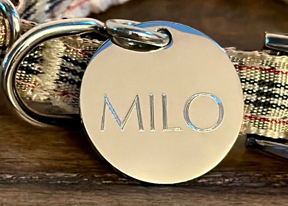 Small Silver Stainless Steel Round Pet ID