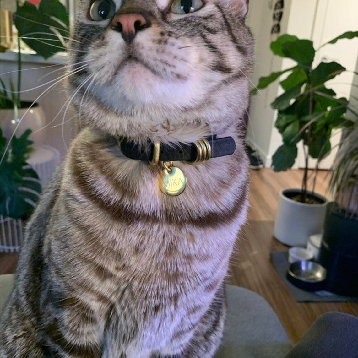 Small Gold Stainless Steel Round Pet ID