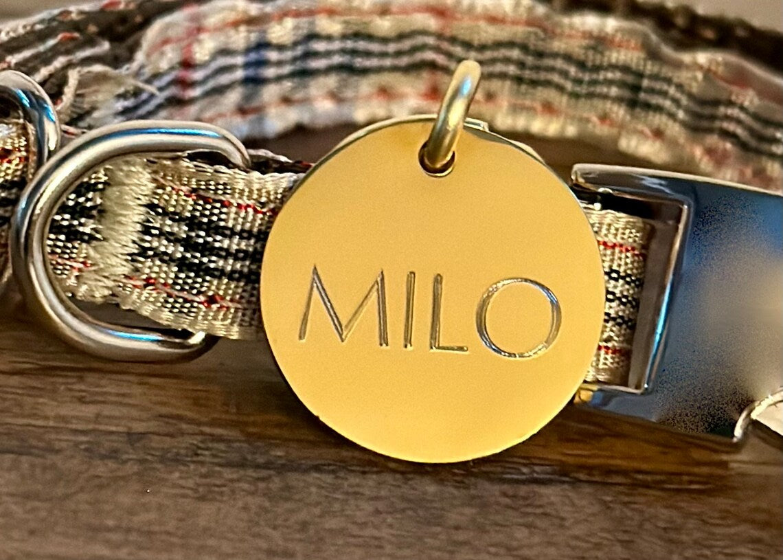 Small Gold Stainless Steel Round Pet ID