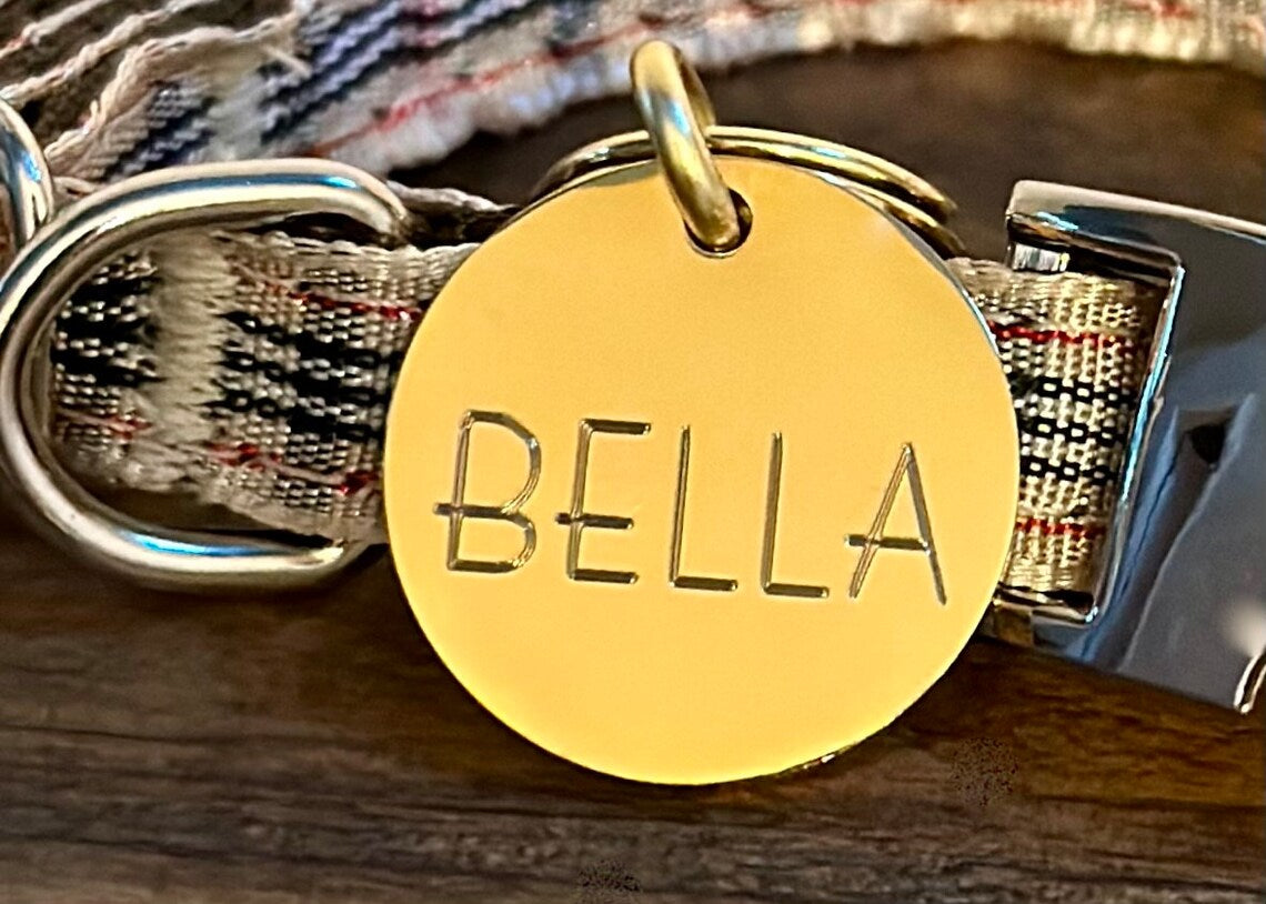 Small Gold Stainless Steel Round Pet ID